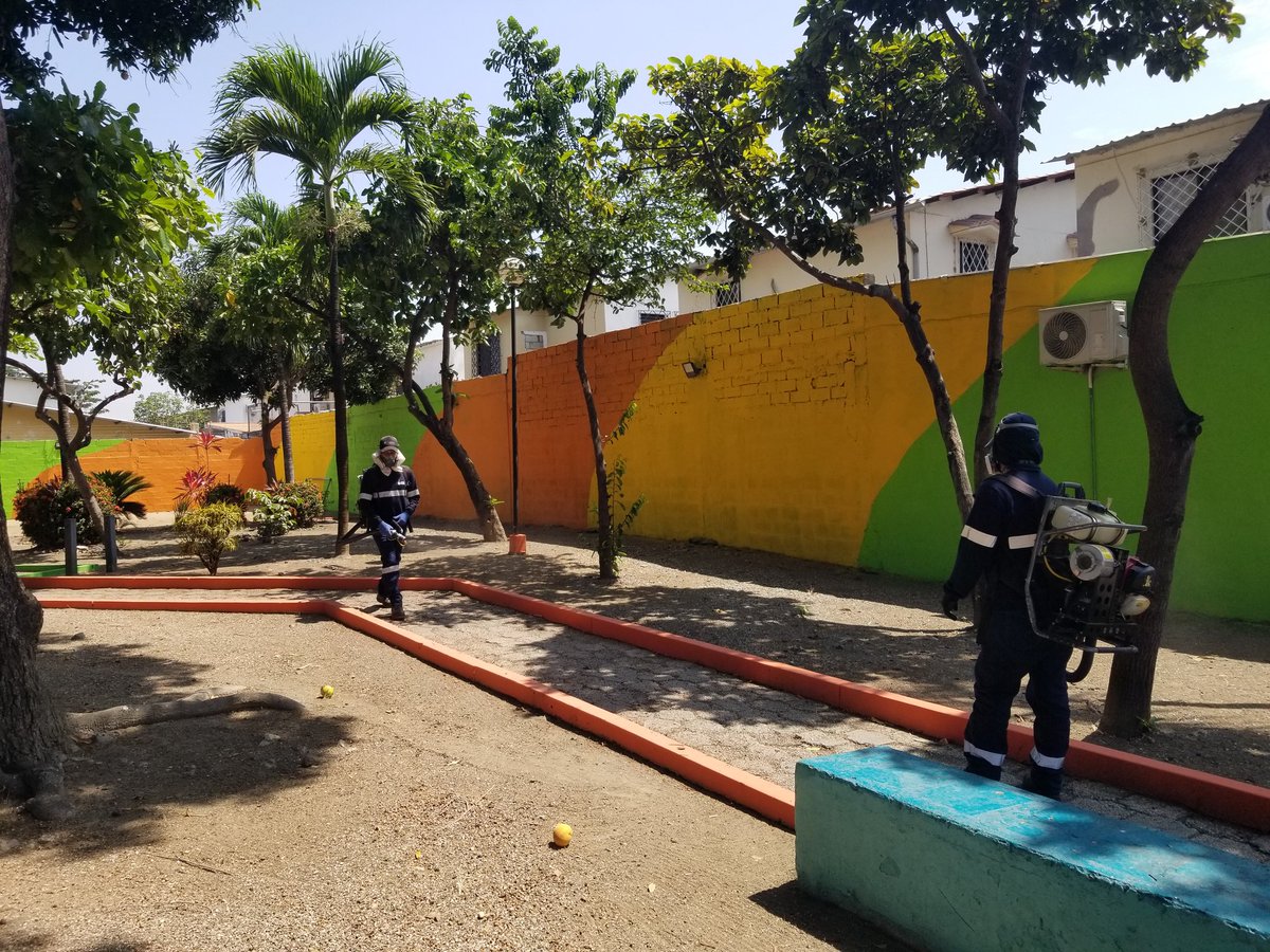 Samanes-5 tweet media