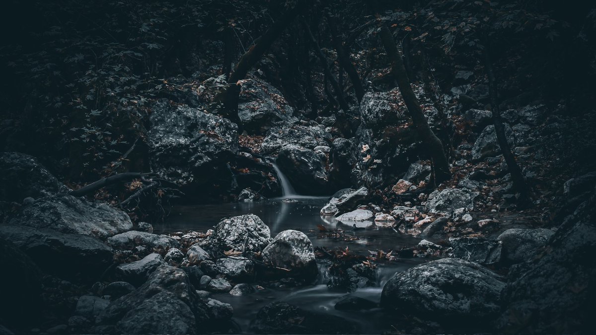 nft_clctr's tweet image. gm amazing friends