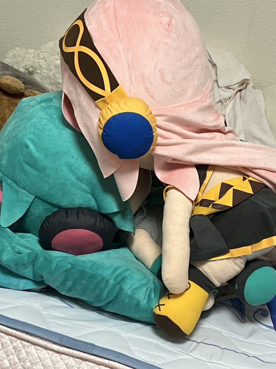 1115_negitoro's tweet photo. もちこれだろ https://t.co/u3nwMJyMGN