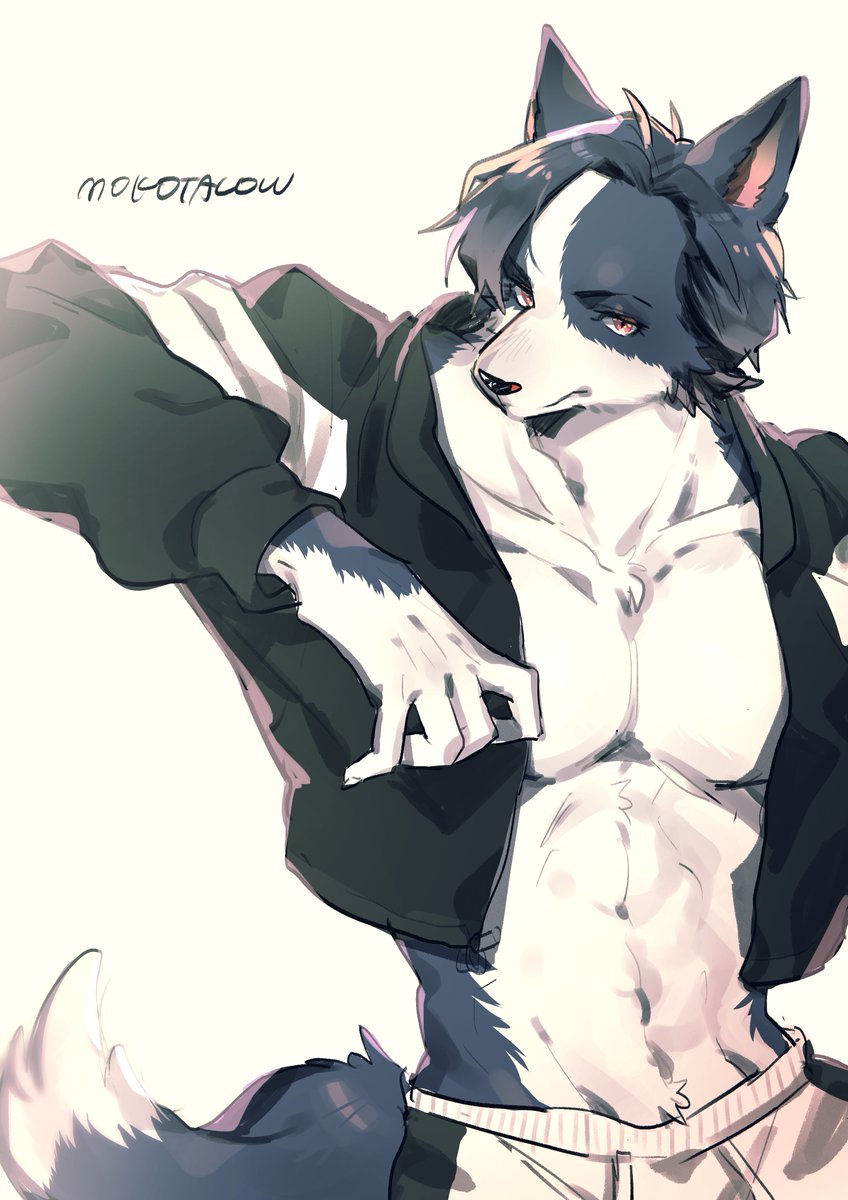 MOCOTA🦴 tweet media