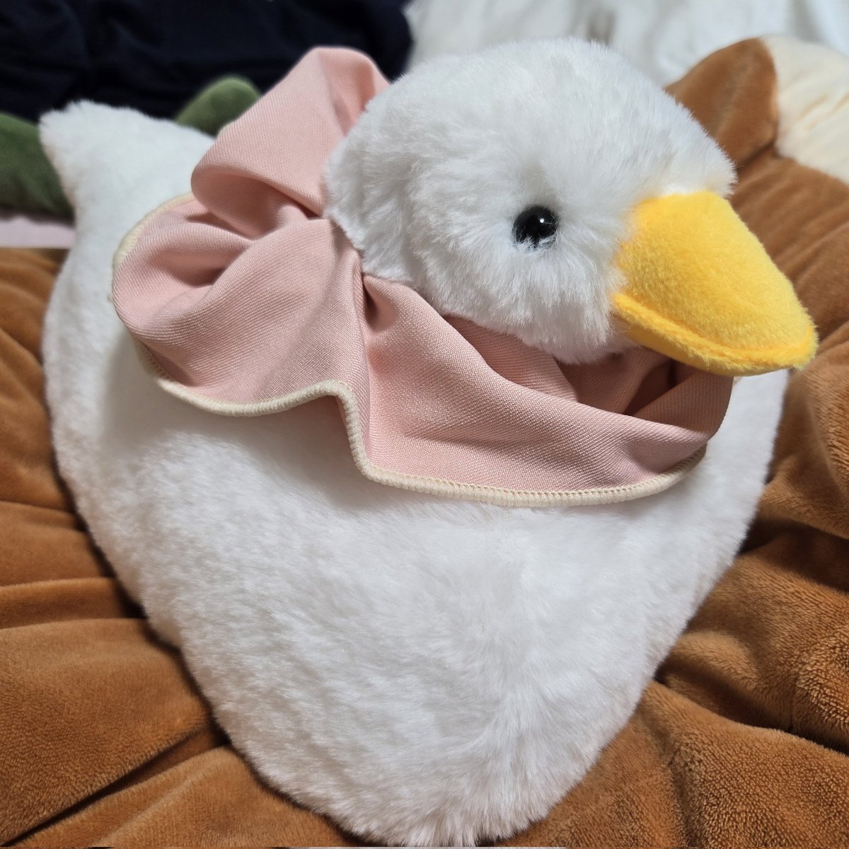 SiRoKuRoMiKeKo's tweet photo. 2kgのアヒル…2kgのアヒルだ…ずっしりもっちり
シュシュお似合いだね
 #omonui https://t.co/QJGLeg61Xm