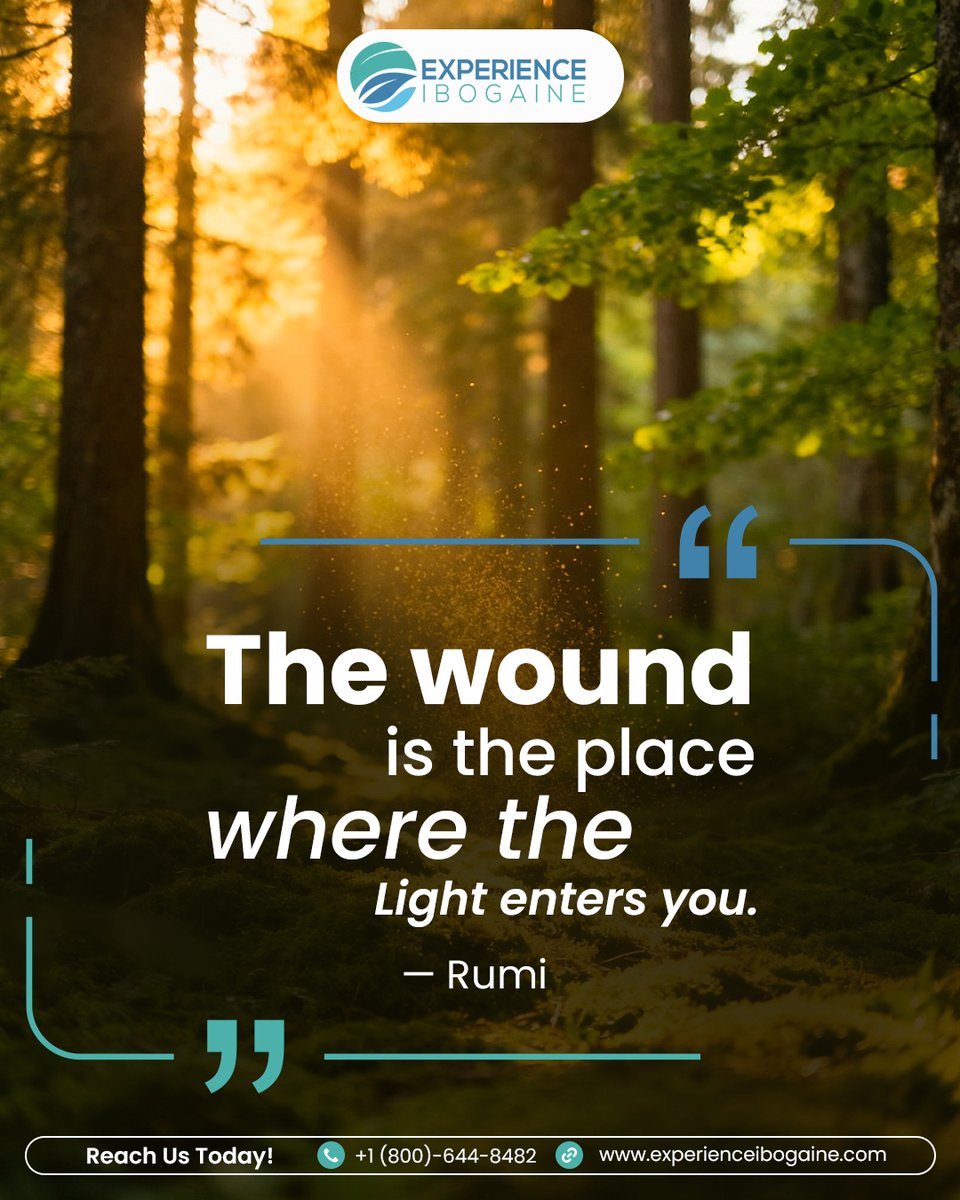 experienceiboga's tweet image. The hardest parts of your story can lead to your greatest healing. 🌿

Your struggles show your strength. Healing helps you understand, grow, and move forward. ✨

You’ve survived—now it’s time to thrive. 💚

Explore your path: experienceibogaine.com

#HealingJourney