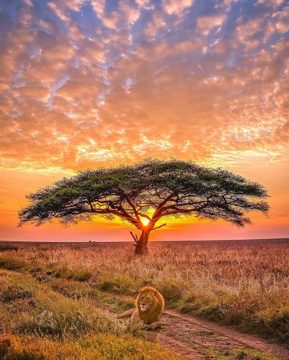 Sunrise over nature’s canvas reminds us of the beauty that surrounds us, urging us to keep our planet thriving. 🌄
#NatureBeauty #MorningVibes #EcoFriendly 
#WorldAIDSDay
#GeetaJayanti
Geeta Gyan