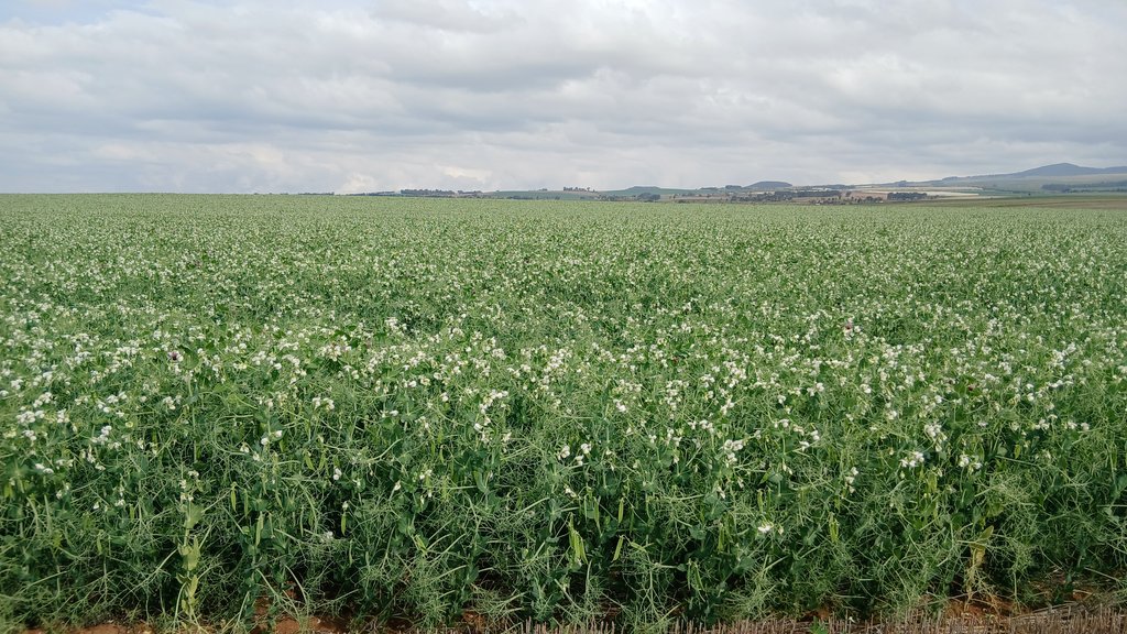 October solar radiation was substantially lower than any recent year. But no surprise that November was around 145,000 W/m², a whopping 21% higher than November 2024 and 27% above 2023.