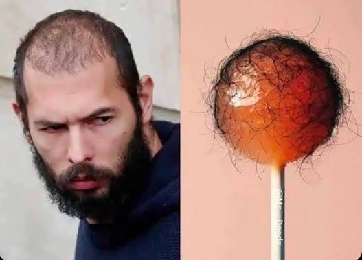 HPhobiaWatch's tweet image. I can easily ratio Andrew Tatta