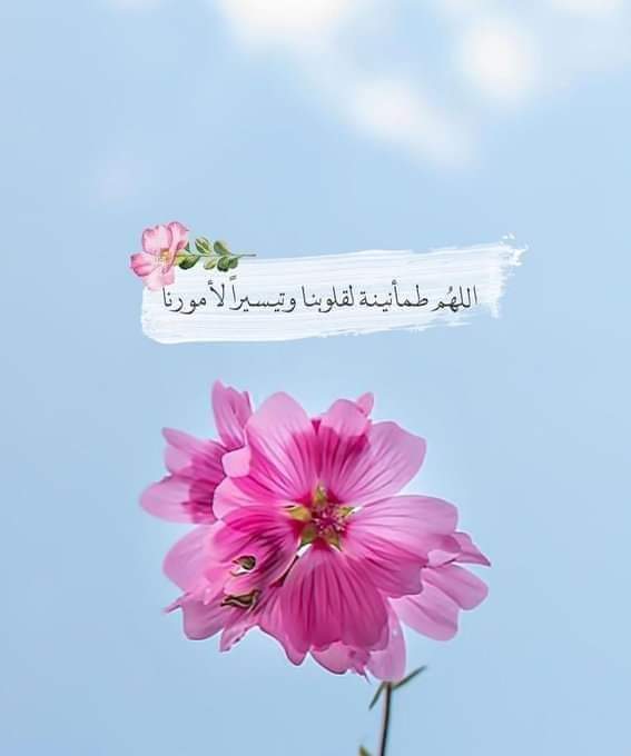 اللهــــم قبـــولا في الأرض

ومحبـــة في السماء

واختم اللهم عمرنا بالثبات على دينك.