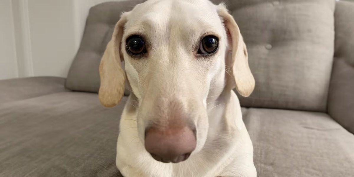 Revisiting some of my favorite images from this site