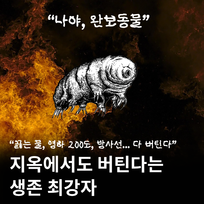 rhkorea_books's tweet photo. "죽음의 끝에서도 생명은 길을 찾는다" 

★최재천 교수 강력 추천!
★영국 과학 작가 협회 최우수 기사상
★출간 사은품 보온 주머니