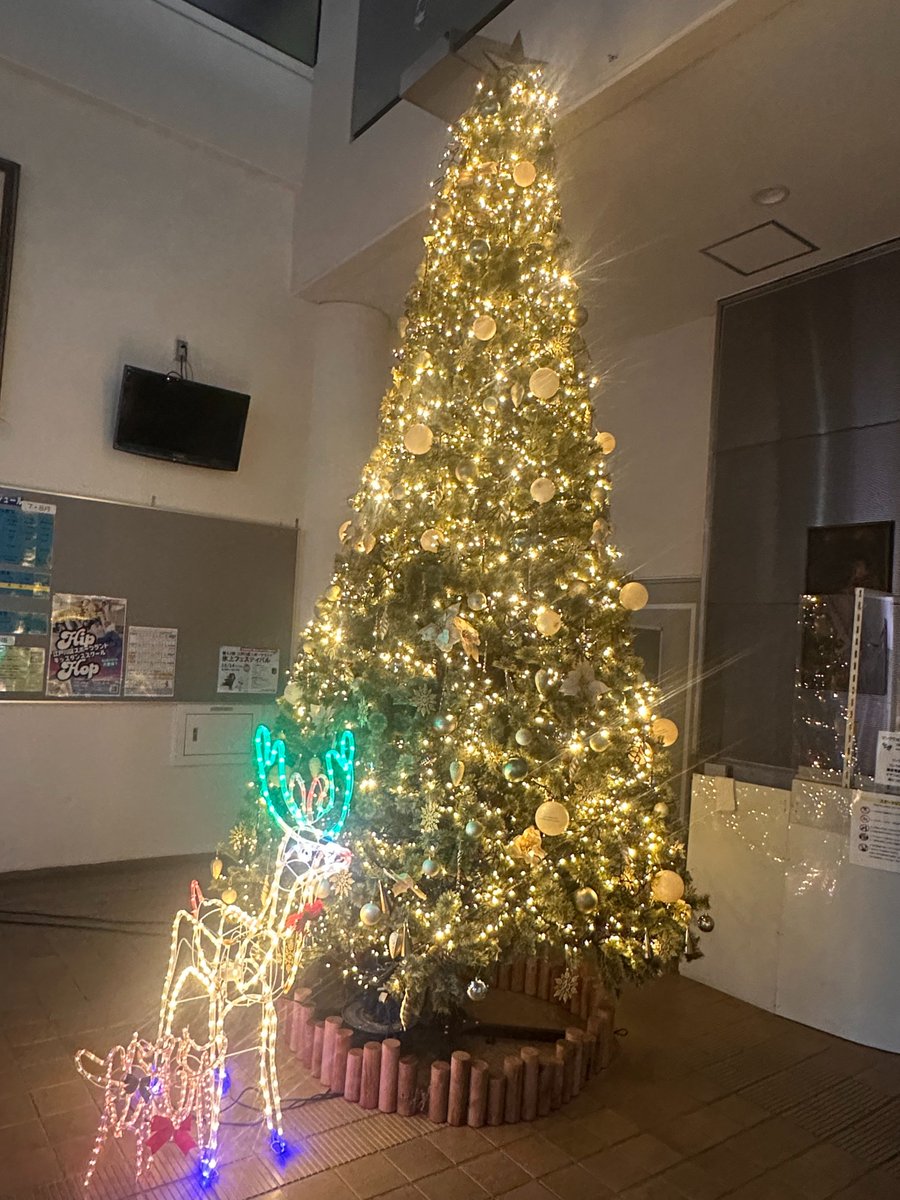 🎄✨クリスマスツリーが完成しました✨🎄

今年も江戸川区スポーツランドに大きなクリスマスツリーが登場！

ぜひ来館の際にはツリーの前で記念写真を撮ってください📸

#江戸川区スポーツランド
#クリスマスツリー