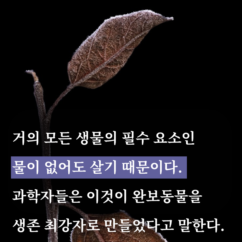 rhkorea_books's tweet photo. "죽음의 끝에서도 생명은 길을 찾는다" 

★최재천 교수 강력 추천!
★영국 과학 작가 협회 최우수 기사상
★출간 사은품 보온 주머니