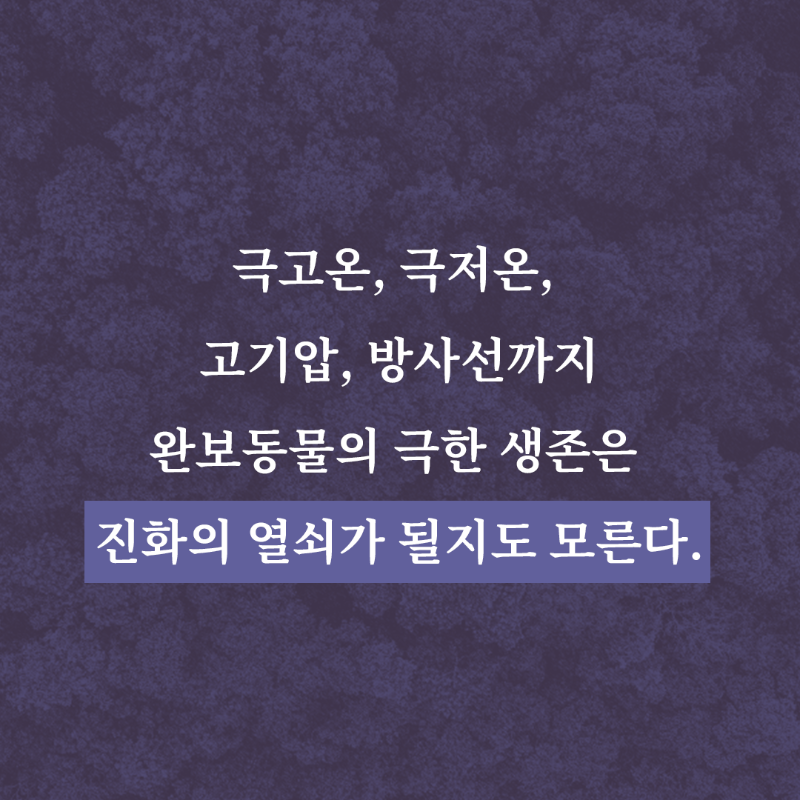 rhkorea_books's tweet photo. "죽음의 끝에서도 생명은 길을 찾는다" 

★최재천 교수 강력 추천!
★영국 과학 작가 협회 최우수 기사상
★출간 사은품 보온 주머니