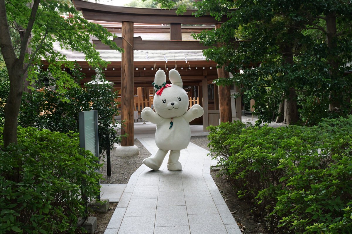 今日は國學院大學の神殿に行ってきたぴょん！
ここには八百万の神々が祀られていて、月初めには月次祭が行われているぴょん！
みんなも國學院大學に来たときはお参りしていくぴょん(>ω<)
＃國學院大學　#こくぴょん