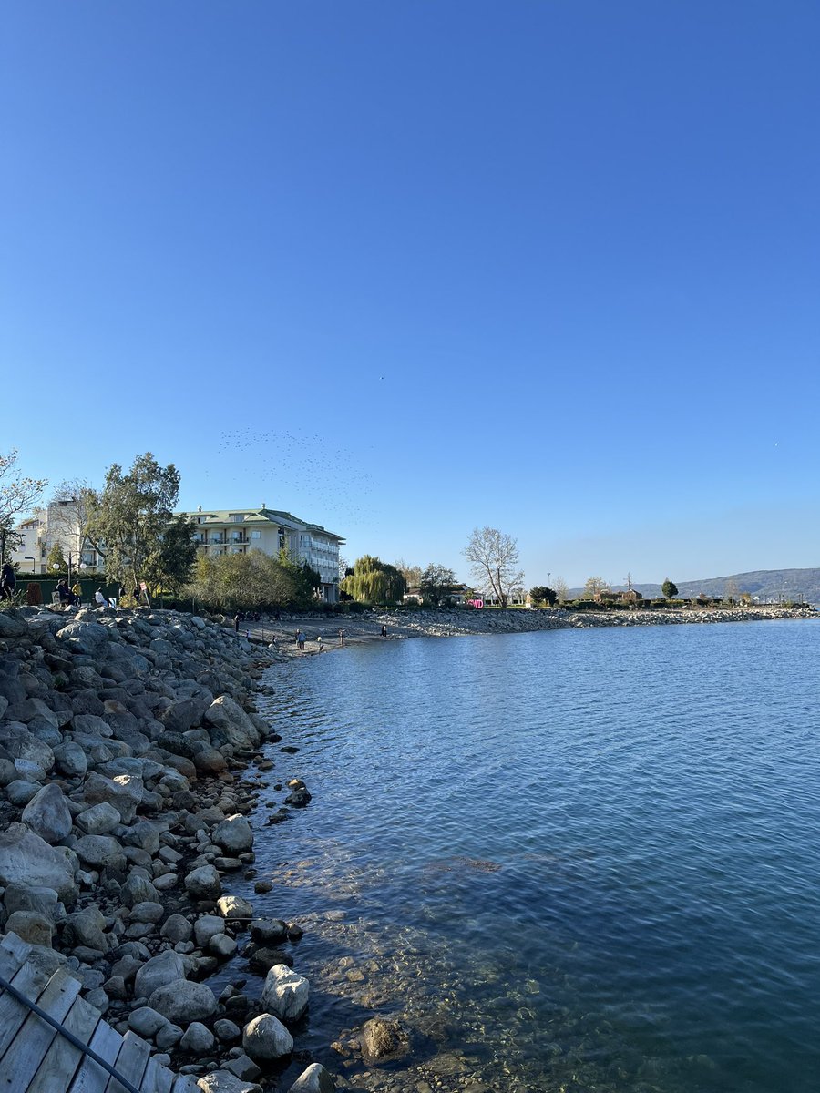 Beegmuxx_Web3's tweet image. GM Champs 
Wake up with intention, move with purpose, and show up like someone who knows where they’re going.
Today’s a fresh win waiting. 💼✨
#GM #CryptoLife #Web3Vibes #RiseAndGrind