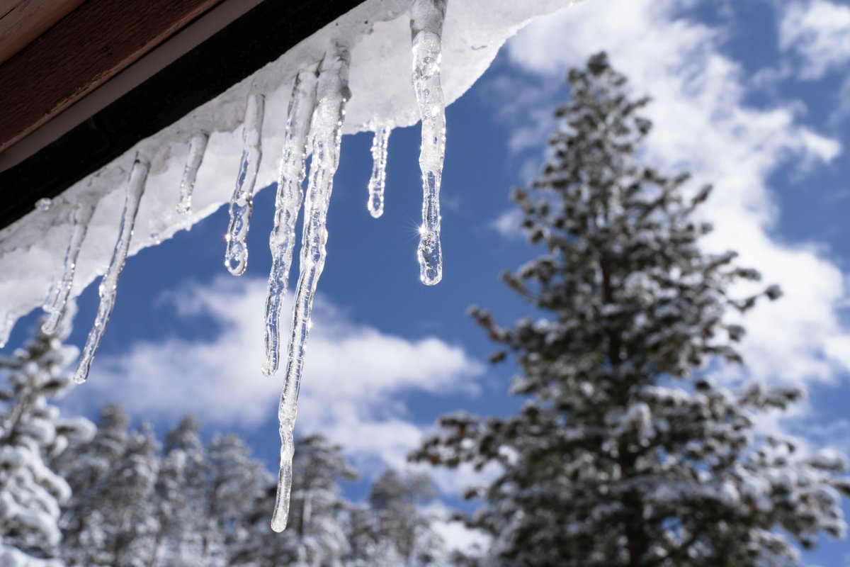 ムラタのオリジナルカレンダー、2025年版テーマは「Nostalgia」🫧
12月は、アメリカの従業員の作品が選ばれました！❄️☃️

タイトル：Icicles
撮影場所：カリフォルニア（アメリカ）

朝のハイキング前に見つけたつらら。
ふと見上げれば、そこには美しい世界が広がっています。（撮影者談）