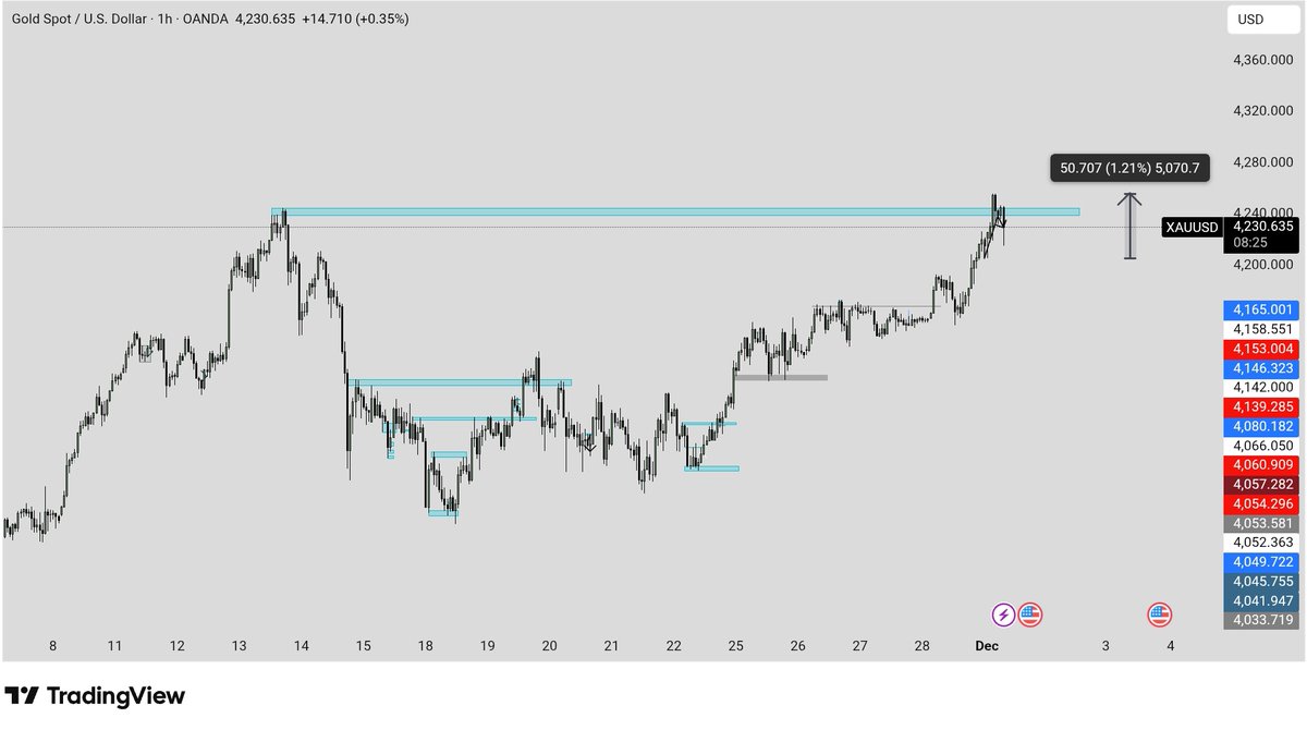WOLF x VISION tweet media