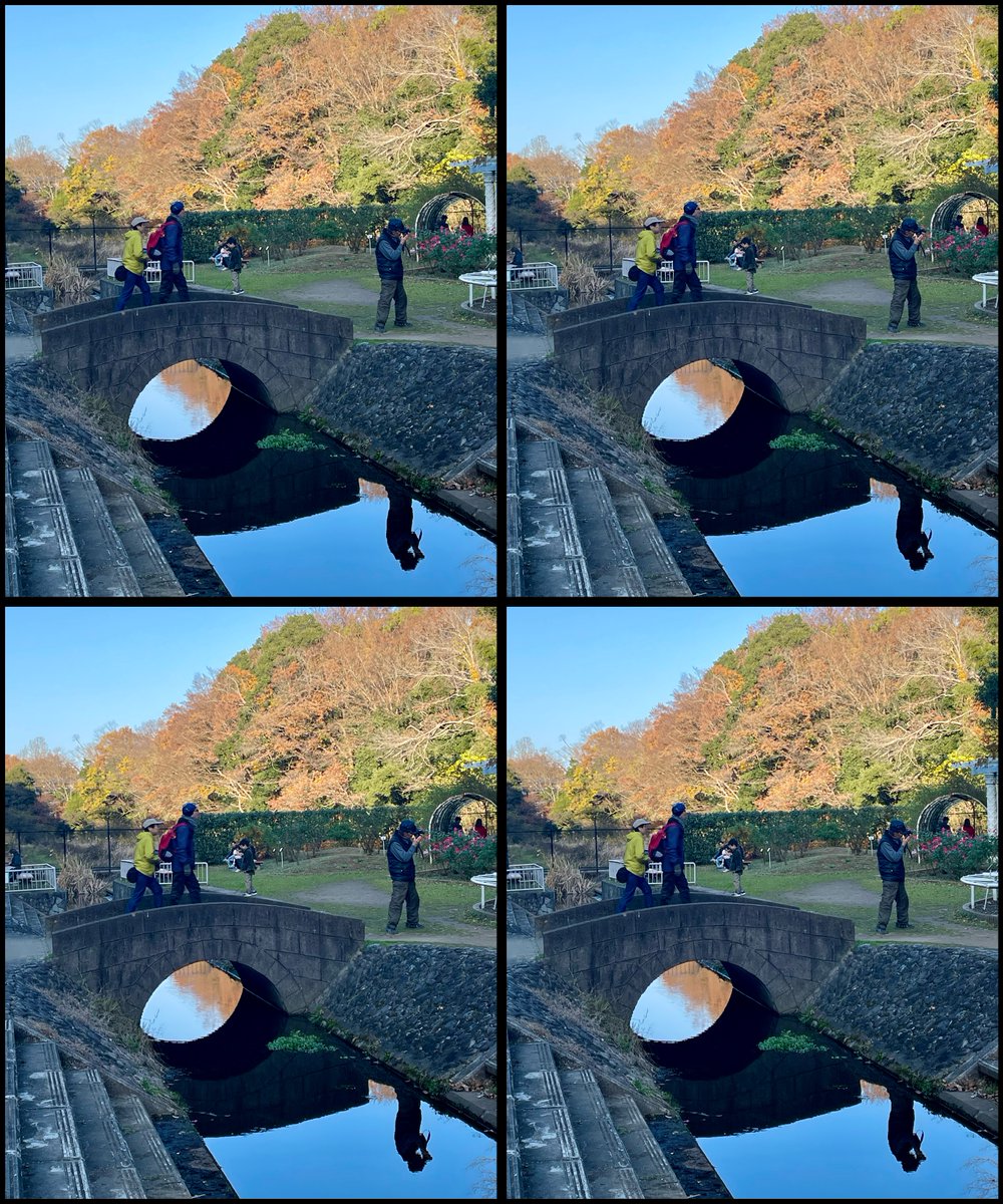 haeckel's tweet photo. 公園にて #stereograph #stereoview https://t.co/NwoXZo6Vag