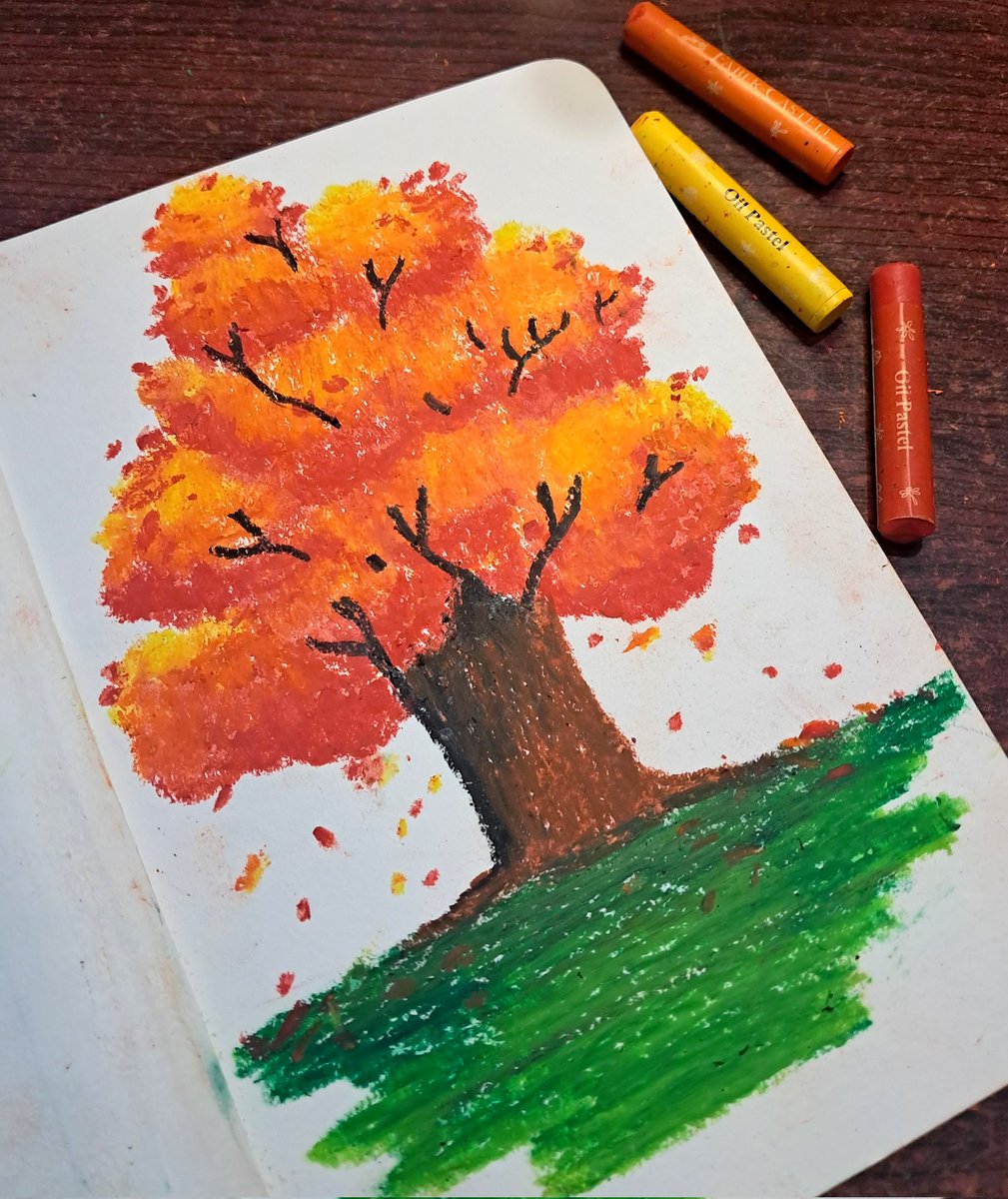 PrajnaDash7's tweet photo. 🍁 Finding peace in shades... https://t.co/yxMCpN0F2I