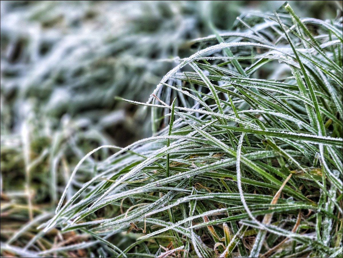 k_pawlowska's tweet photo. #GoodMorning 😊 Happy First Day of #December 🩵 May this frosty morning fill your heart with peace and your day with warmth 🤩
Today's #SongOfTheDay is "A Long December"🎶
https://t.co/tILEtTLkDQ
#Nature #NatureBeauty #decemberloading #MondayVibes https://t.co/xrWvOVF8Ao