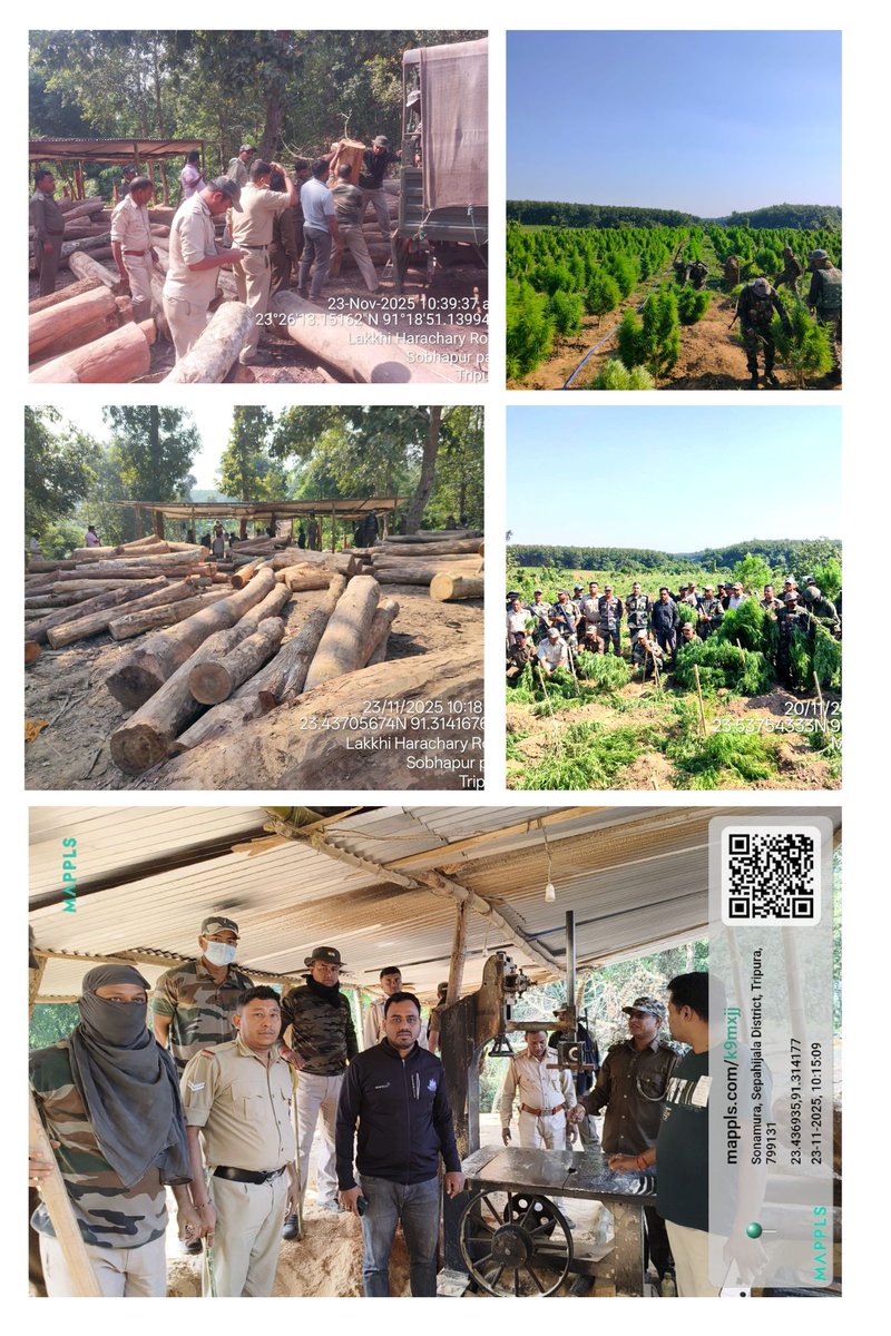 🌿 Forest Protection Drive
FPU teams under Sonamura, Mandai, Karbook &amp; Manu Subdivisions seized illegal sawmill setups, round/sawn timber, generators, powered chain saws and destroyed approx. 5.25 lakh mature ganja plants under Sonamura Sub-div.
<a href="/animeshdb70/">Animesh Debbarma</a> <a href="/mygovtripura/">MyGov Tripura</a> <a href="/moefcc/">MoEF&CC</a>