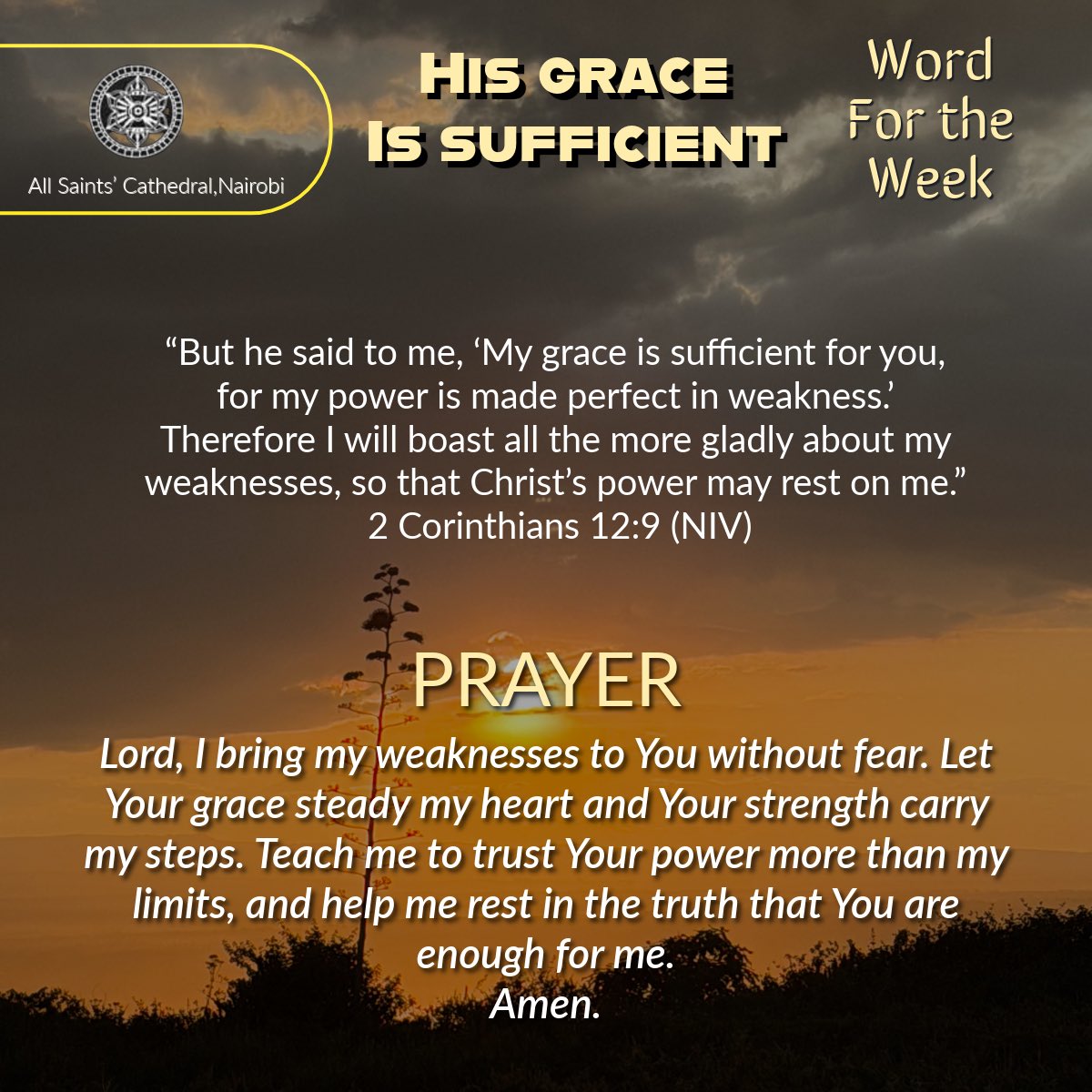 MalimoIgnitius's tweet image. You don’t have to hide the weight you are carrying. Weakness is not failure it is human. God meets us there with grace that strengthens the heart and steadies the mind. Let His power rest on you today.
#WordForTheWeek #StrengthInSurrender