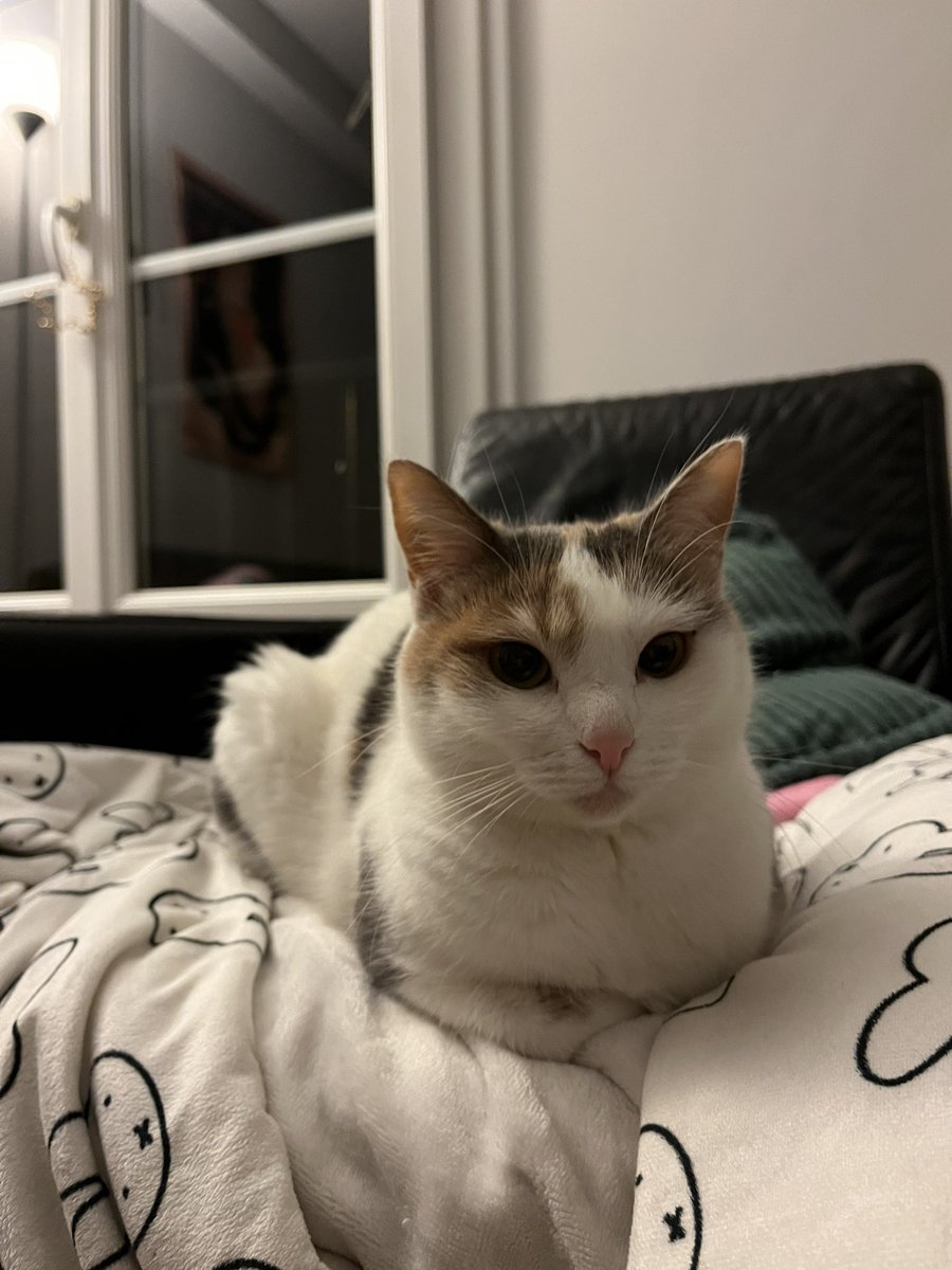 à ce soir ma toupie bb 😢