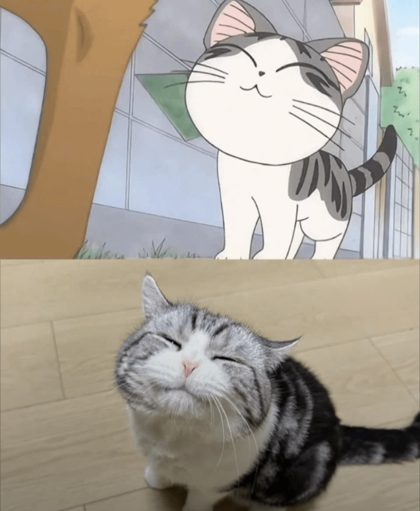 catshealdeprsn's tweet photo. The perfect cat cartoon doesn't exi.... https://t.co/dhCbns5QvW