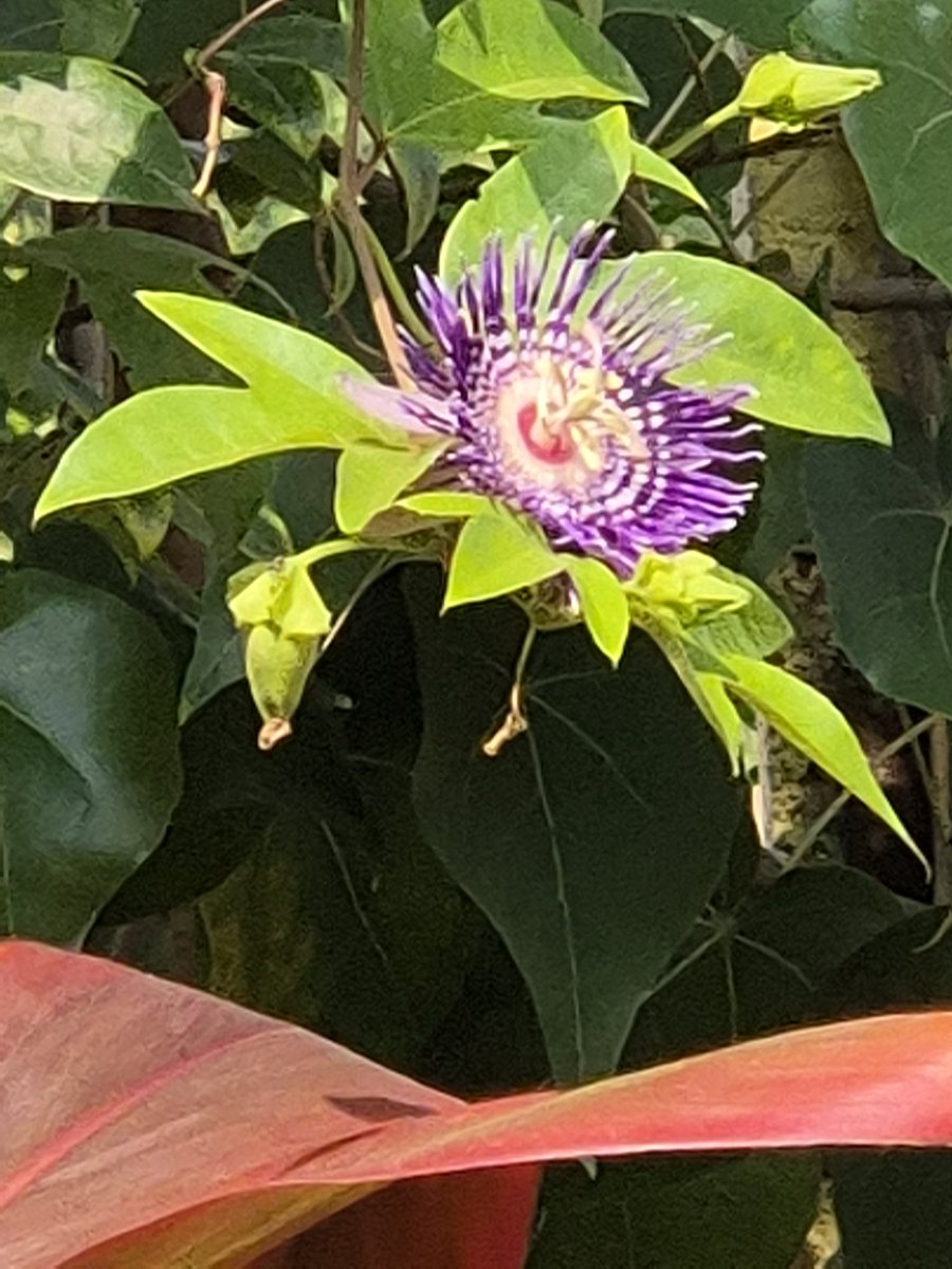 AshishAminNGS (@ashishaminngs) on Twitter photo 