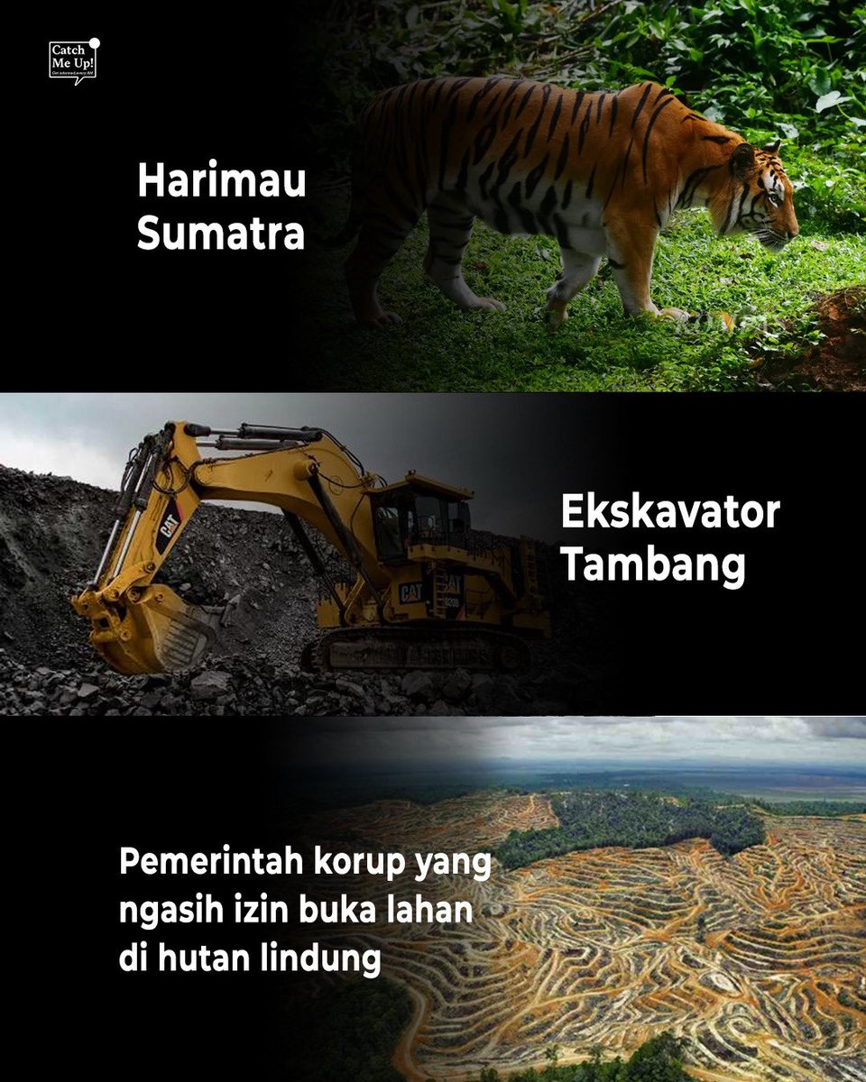 catchmeupco's tweet image. Jadi, mana yang lebih buas guys?