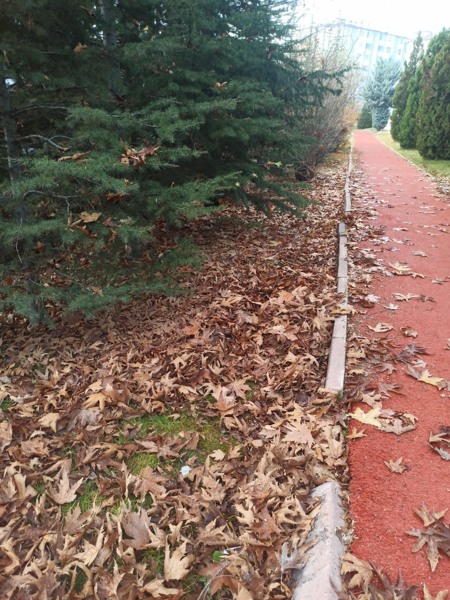 One two three 😅günaydın 🙋🏻‍♀️