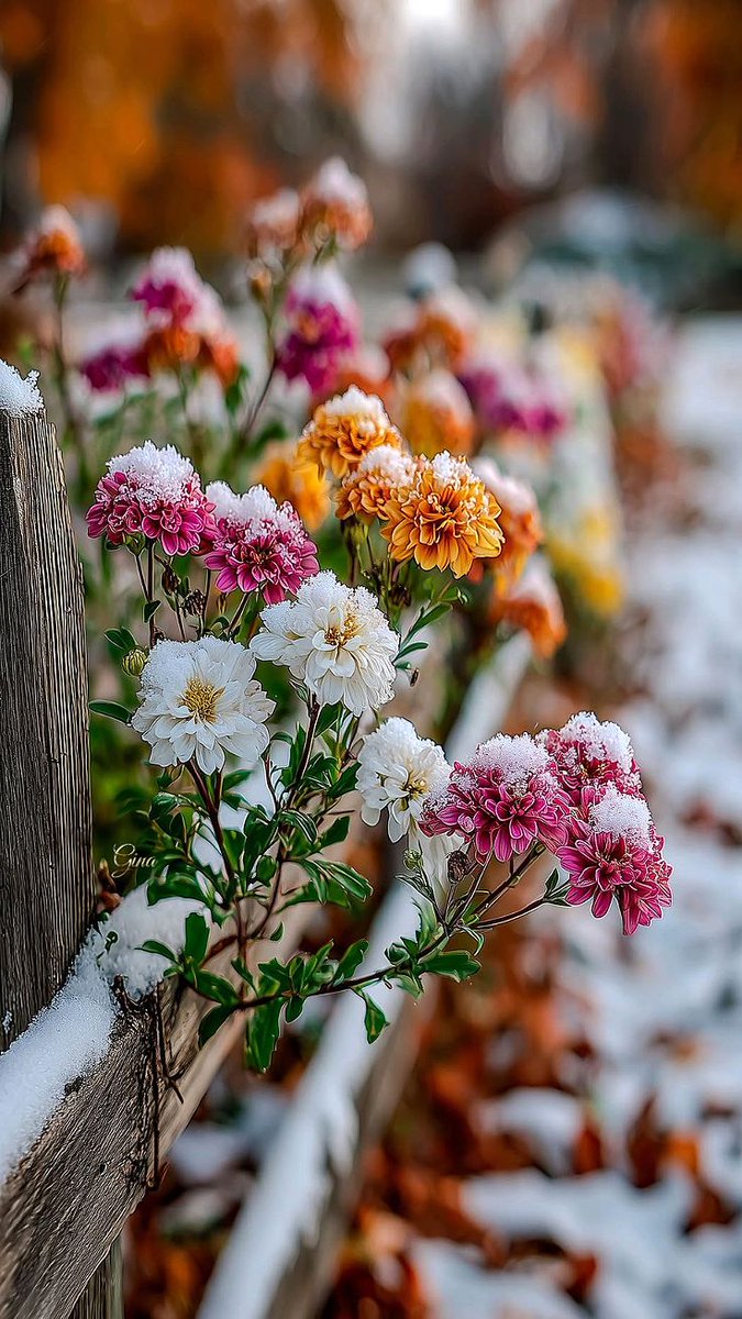 Giselle_zmm's tweet image. You have two hands, One to help yourself, the second to help others.
┄┄┅┅┅❅❁❅┅┅┅┄
#NaturePhotography 
#MondayVibes