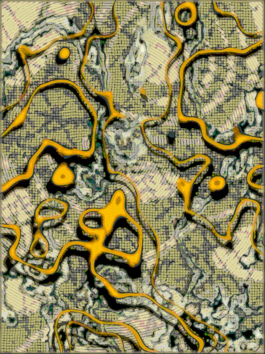 no javascript
no front end code