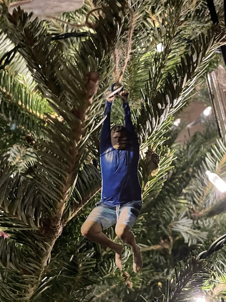 lonelybcnes's tweet image. i think he’s just here for the christmas tree… #ithinkyoushouldleave