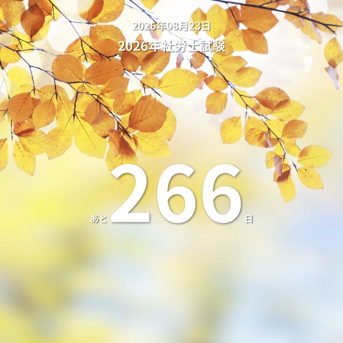 資格の大原 社労士 (@o_hara_sharoshi) / Posts / X