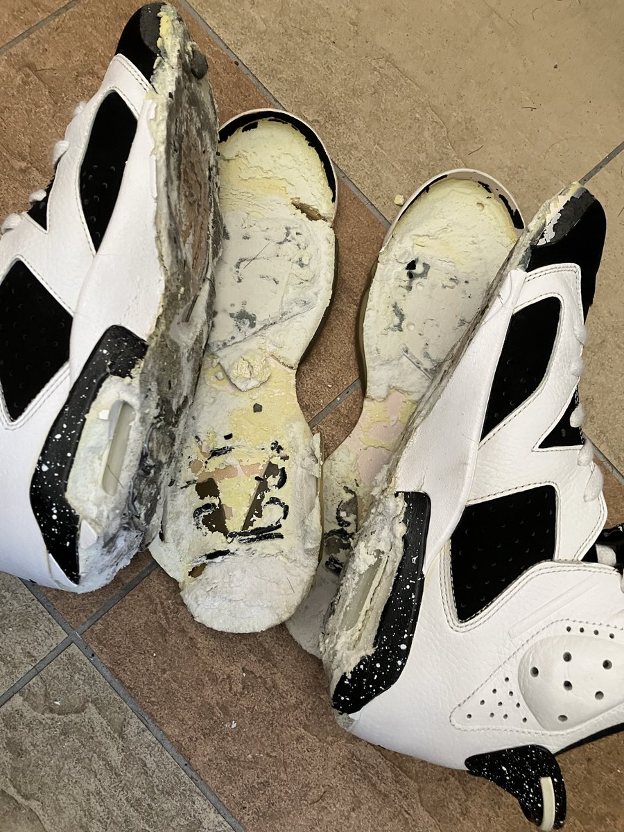 snakebite tweet media