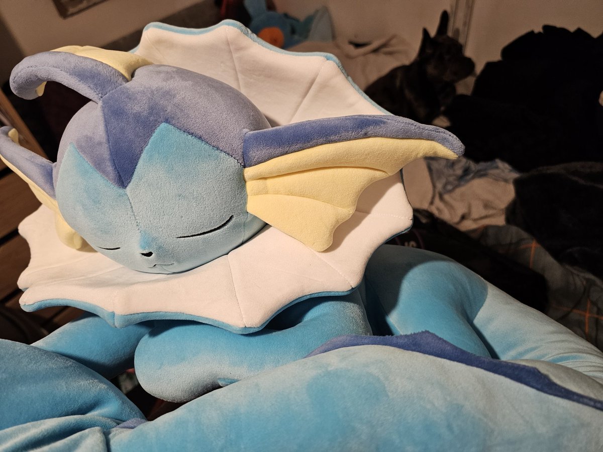 derpydoodesigns's tweet image. I got one of those life sized eeveelutions, tis a big ol&apos; thing! Takes up more room than all of my other plushies combined!

(Don&apos;t even think about it! Vaporeon was my favourite BEFORE that darn meme!)