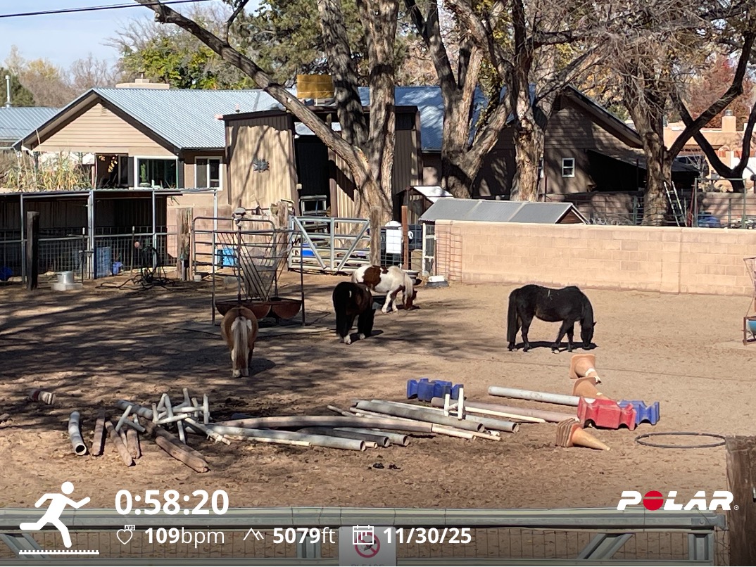 Coach Rich Dafter tweet media