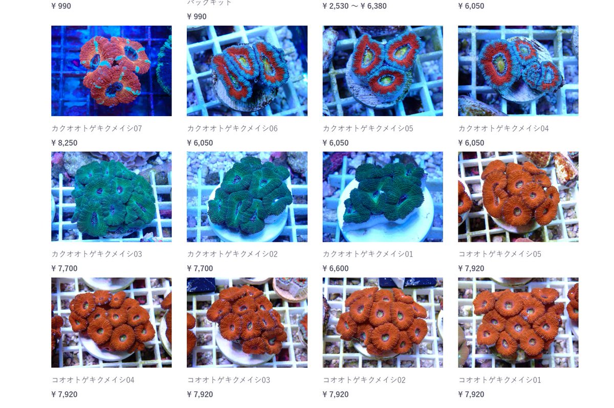 AF_BlueHarbor's tweet image. えぇええぇえぇえぇ(マスオさん風に)
カクカクしてるー！！
blueharbor.co.jp/shop/