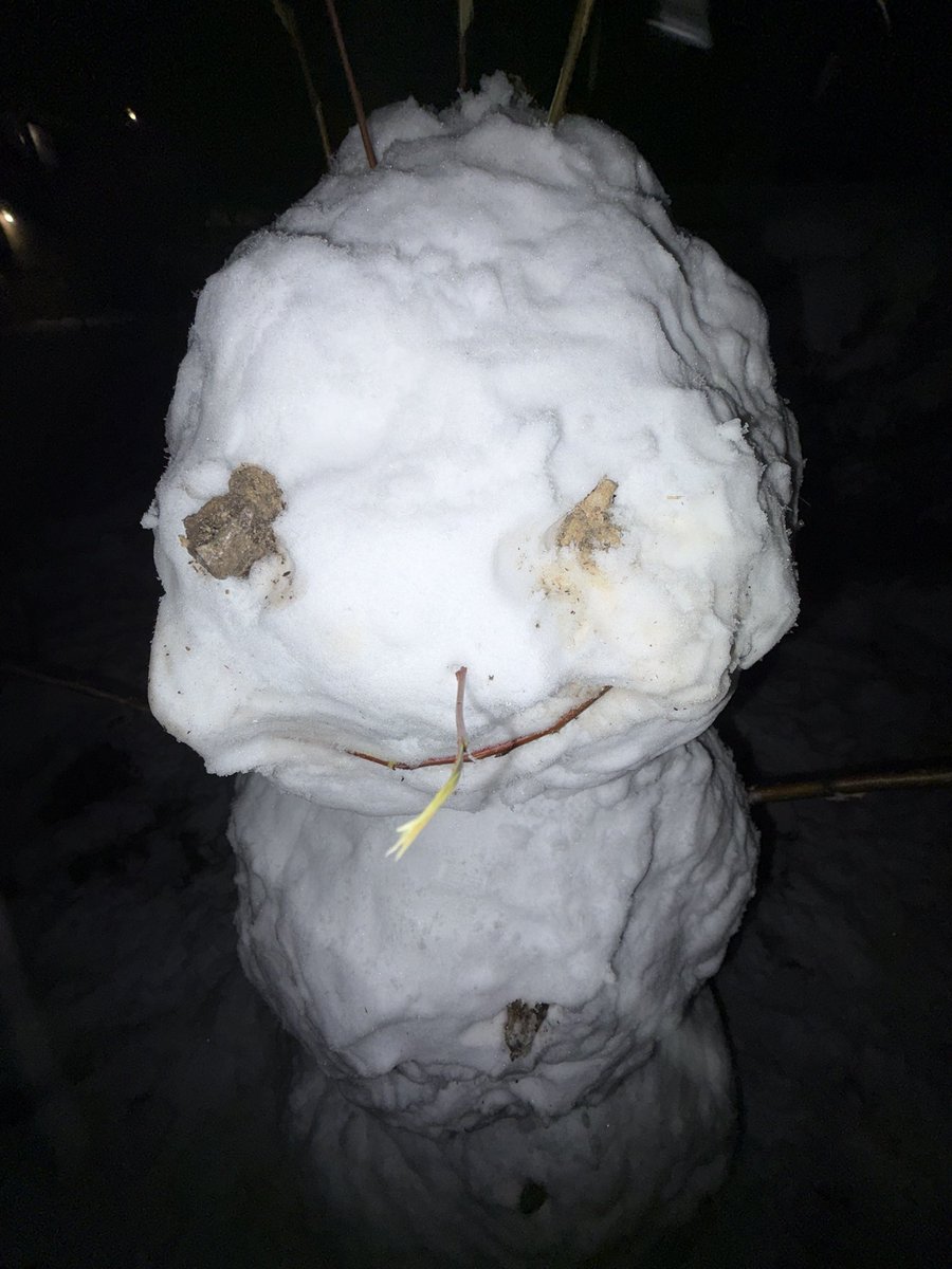 Rascal + Cherry tweet media