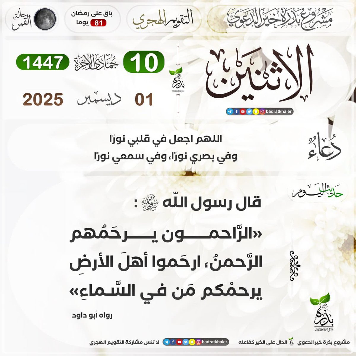 دكتور محمد إمام أحمد الخضري (@dremam2017) on Twitter photo 