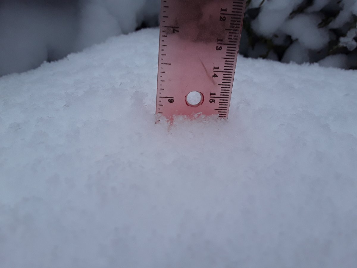 KasselSebastian's tweet photo. ~5.75" of snowfall recorded in NE Wixom, Oakland County, MI. This was taken on 11/30/2025 at 11:15am | #miwx #weather #snow | @NWSDetroit https://t.co/dPVGppJyUC