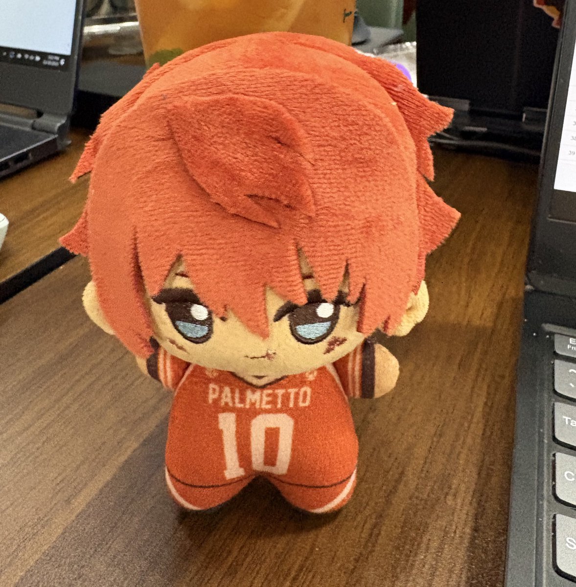 eepywood's tweet image. I lost my neil plushie in downtown san jose … whoever took him. Count your days . Im coming for you .