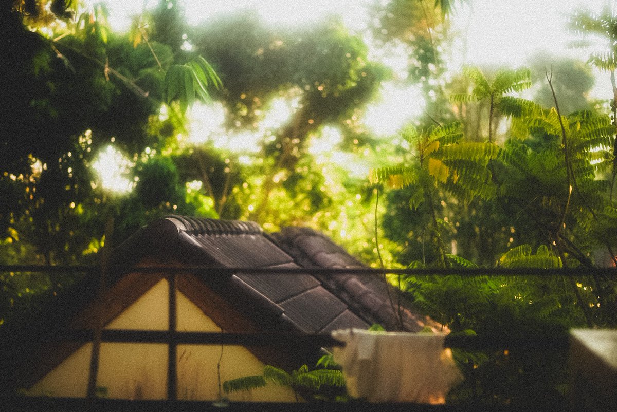 photoboy47's tweet image. ลมหนาวมาอีกแล้ว
#introvert #photography #สัตหีบ #ระยอง #ชลบุรี