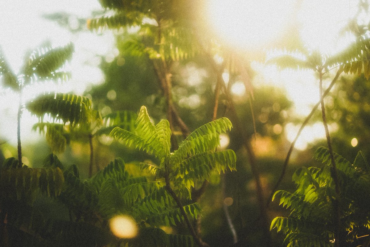 photoboy47's tweet image. ลมหนาวมาอีกแล้ว
#introvert #photography #สัตหีบ #ระยอง #ชลบุรี