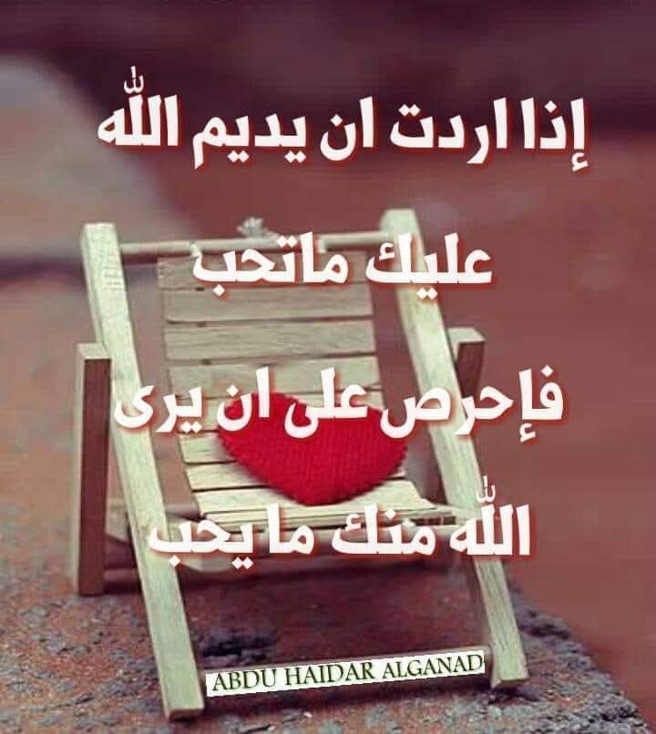 محمدفارع محمد2 tweet media