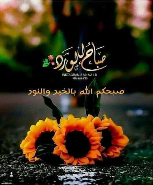 محمدفارع محمد2 tweet media