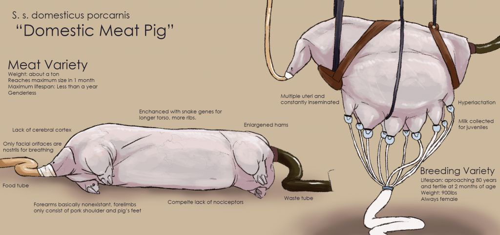 SOPHONTSIMP's tweet image. Exo-wombs that are just heavily bioengineered pigs reduced in all capacities not directly relevant to their function.