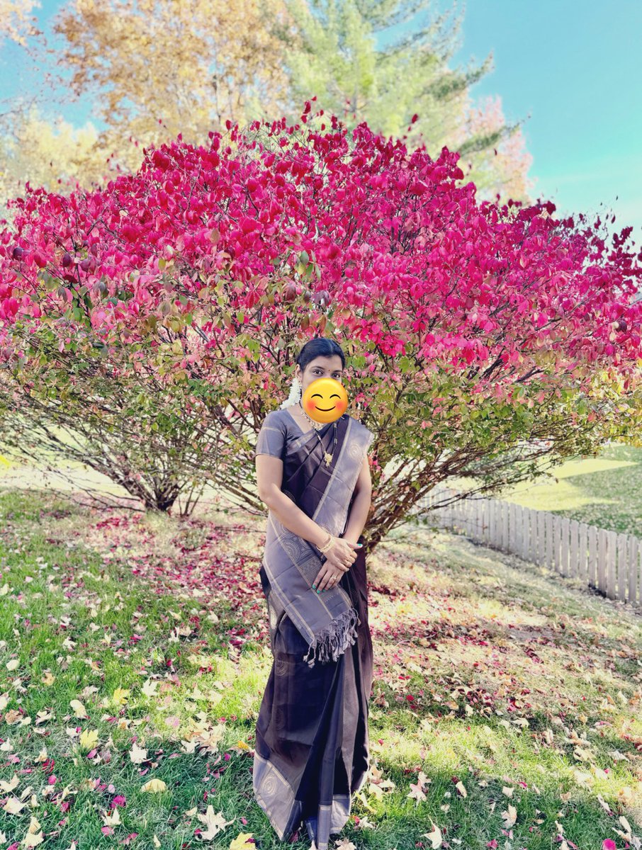 itzmeCitrus's tweet image. November Dump!