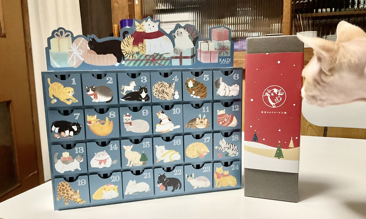 NYANDERFUL CALENDAR 2個セット This year, for a bit of European nostalgia, I found a cat Advent