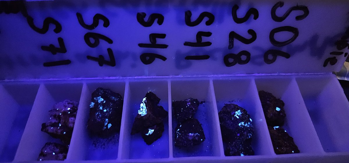 Sampling returned up to 2.98% WO₃ and 7.75 g/t Au in a previously unrecognised, never-before-explored gold system.
Big things ahead for the North Pine Project. #CriticalMinerals #Tungsten #Gold #Idah