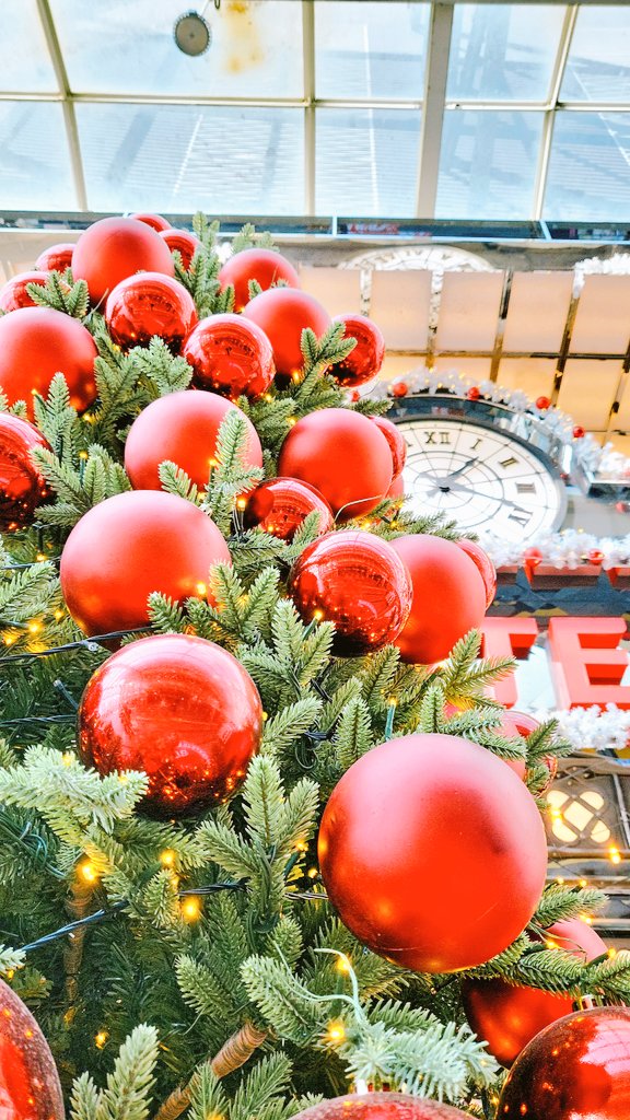 rom091738324's tweet photo. #ツリーツイートの数だけ幸せがやってくる

벌써
12월.

#キリトリセカイ
#ChristmasTree2025
#よろしくおねがいします
#행복
#お写んぽ https://t.co/0ICn3Qgpsg